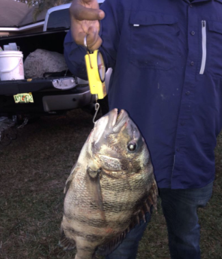 Fisherman holding a 21-inch fish in FL