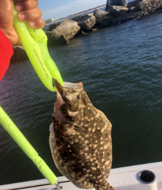Summer Flounder caught while fishing in Daytona Beach