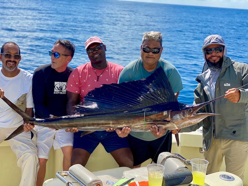 Atlantic Sailfish caught in Hollywood