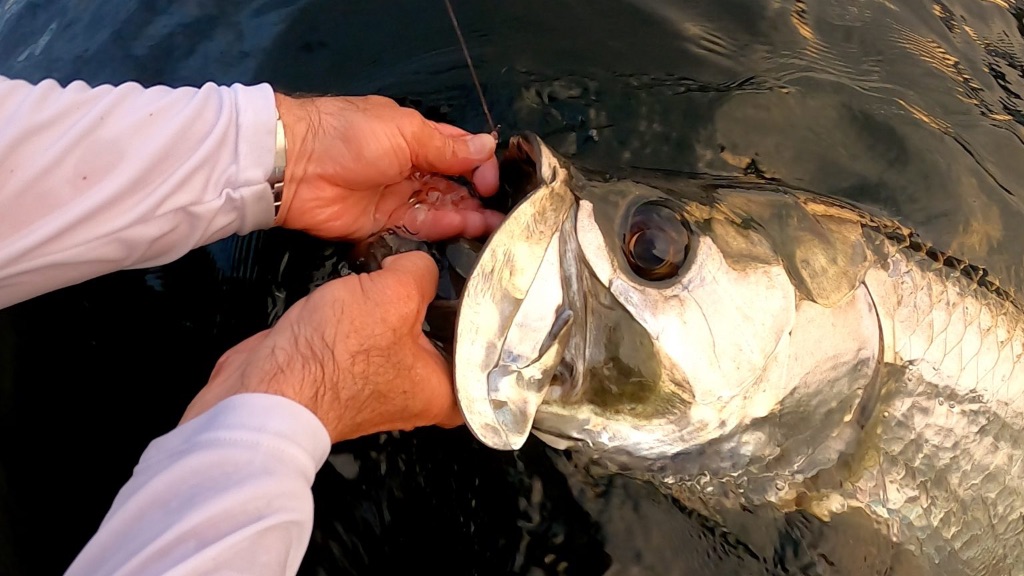 Fishing adventure in FL