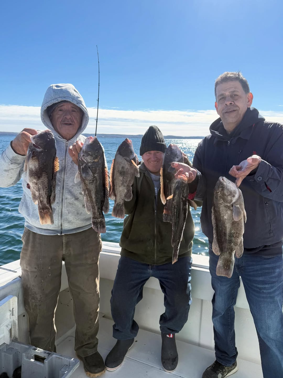 Successful tautog fishing trip in Yarmouth MA with multiple fish caught on boat