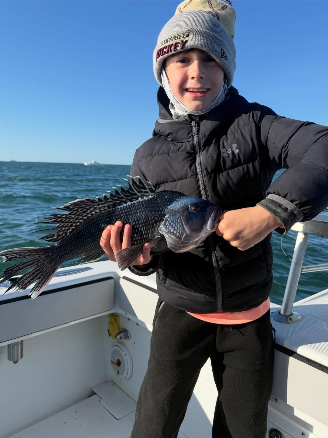 Black sea bass caught fishing in Yarmouth MA waters from boat deck
