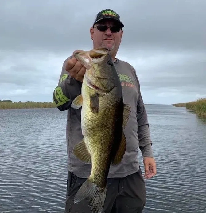 Largemouth Bass caught in FL