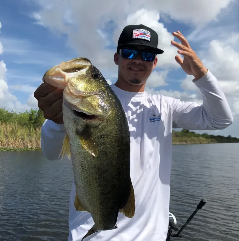 Largemouth Bass caught by angler in Fort Lauderdale