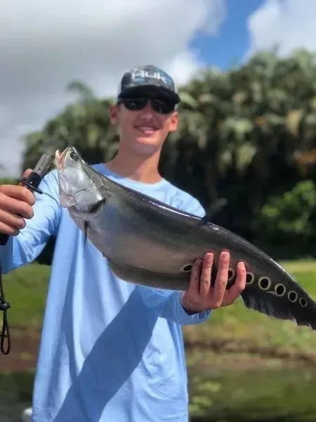 A single person fishing in Fort Lauderdale