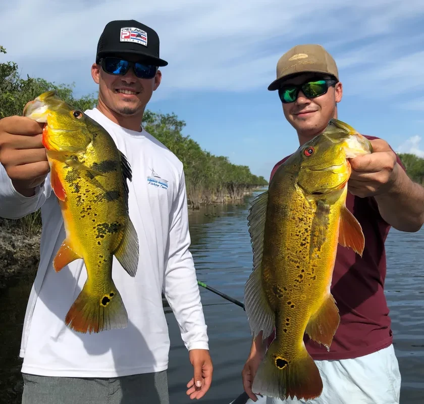 Two anglers with a pair of massive fish in Florida