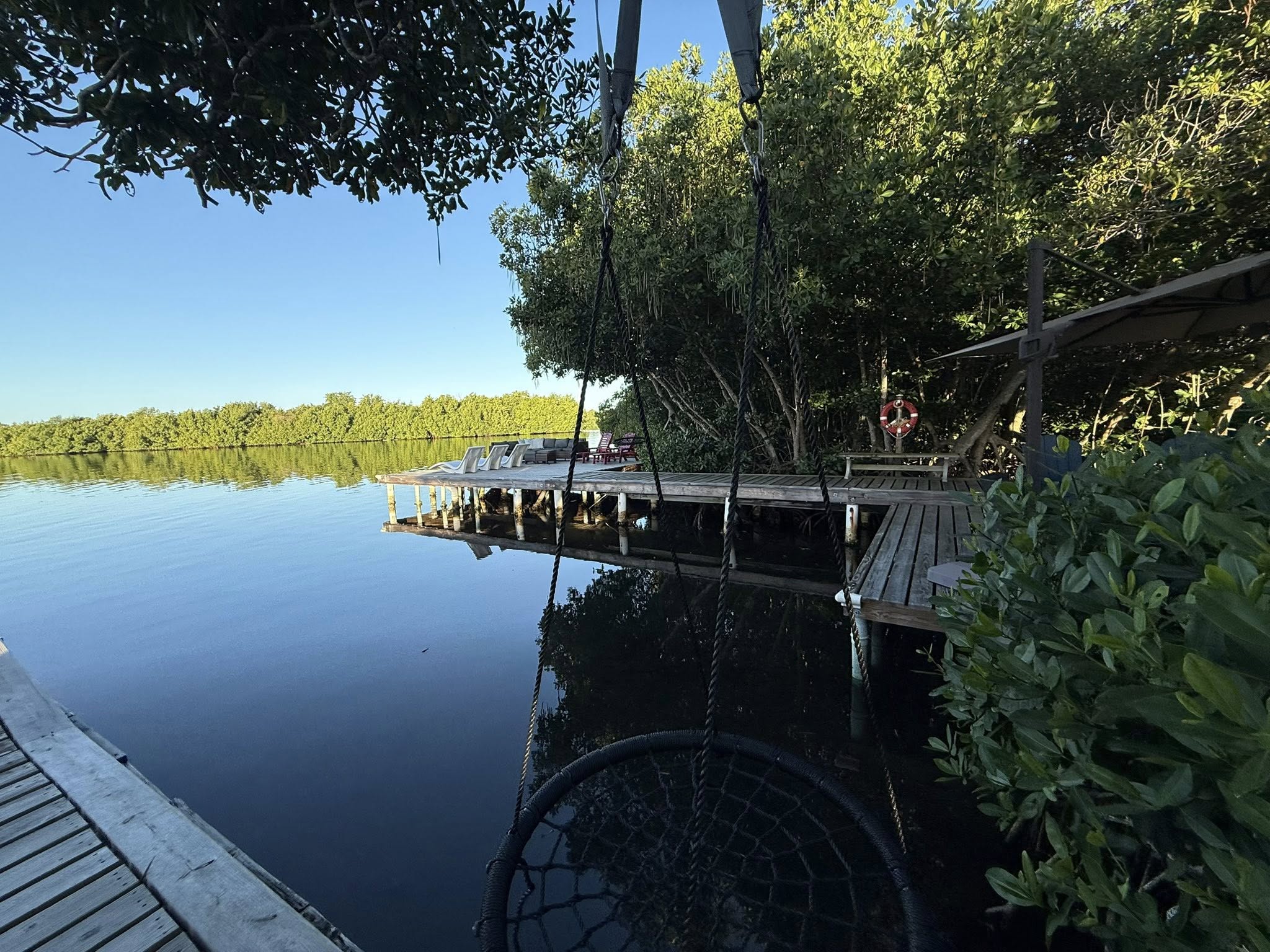 Wooden fishing dock extending into calm water surrounded by mangrove trees in Cabo Rojo PR
