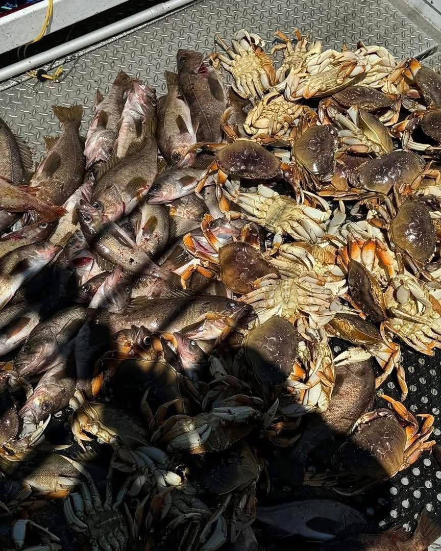 Fresh catch of fish and crabs displayed on boat deck after fishing trip in Roseburg OR
