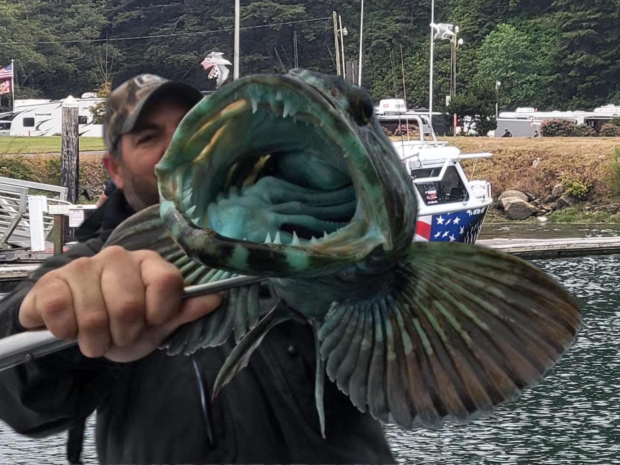 Large fish with open mouth being held during fishing tour in Roseburg OR