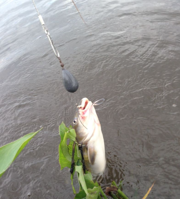 Ocean City cruises and fishing adventure