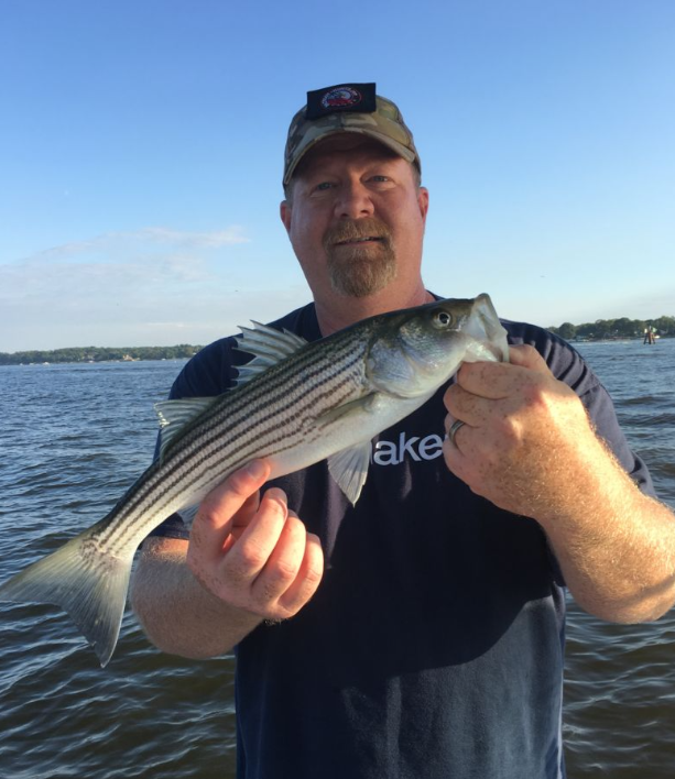 Striped bass caught in Maryland