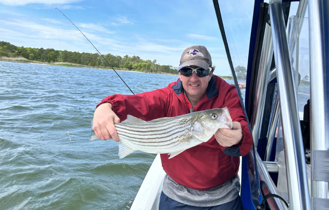 Striped bass caught fishing in Ocean City