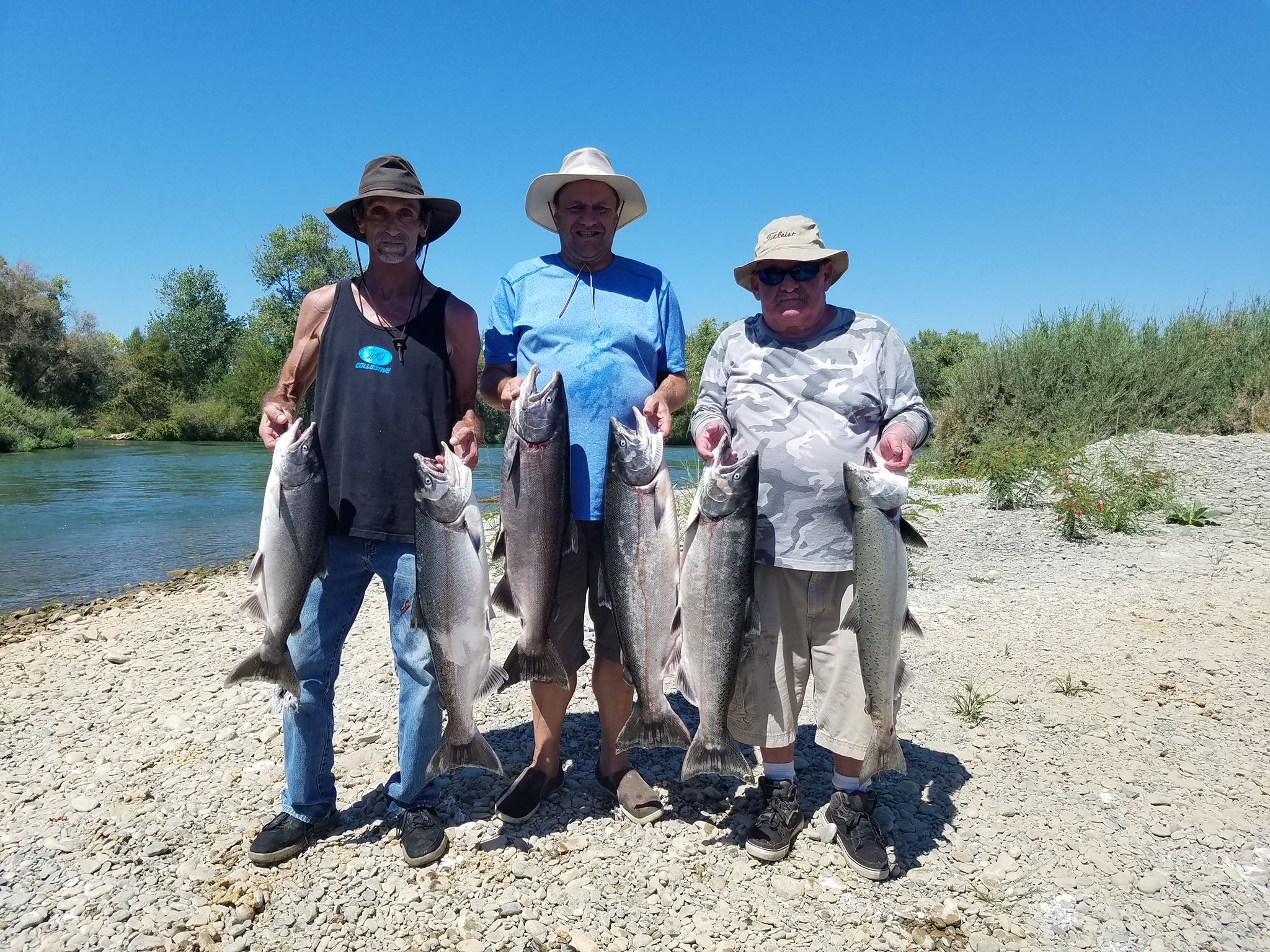 5 rainbow trout and coho salmon caught in Red Bluff during fishing