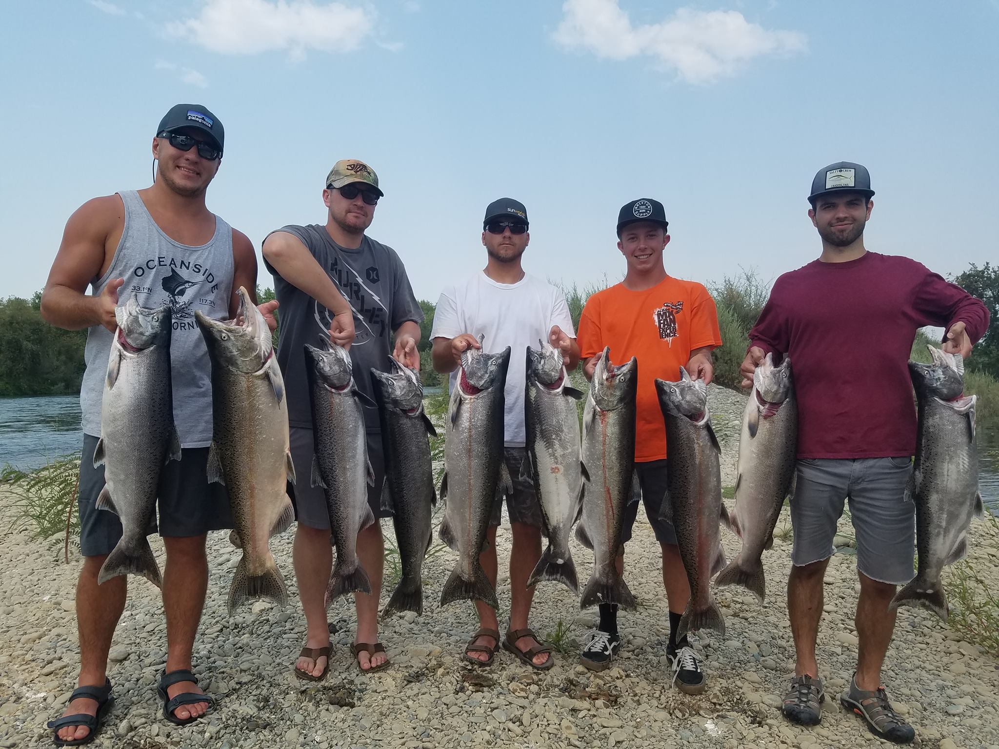 9 Coho Salmon, Chinook Salmon, and Rainbow Trout in CA