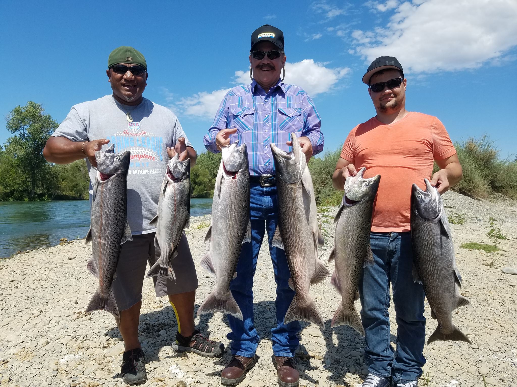 Coho and Pink Salmon caught in Red Bluff
