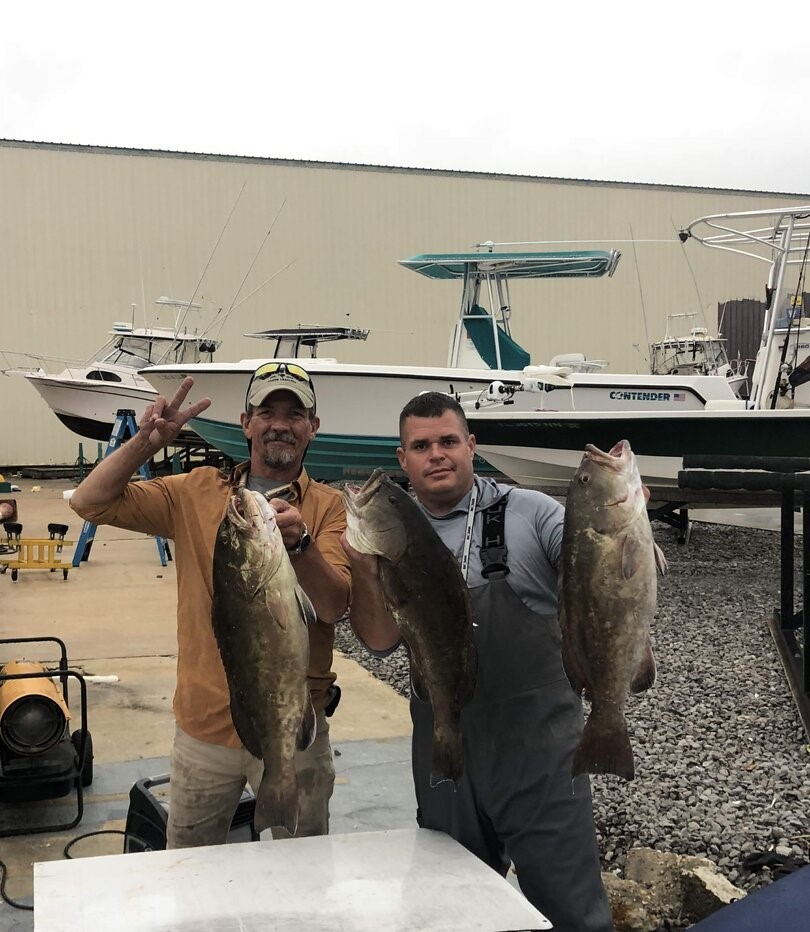Successful gag grouper fishing trip in Panama City FL with multiple large fish displayed
