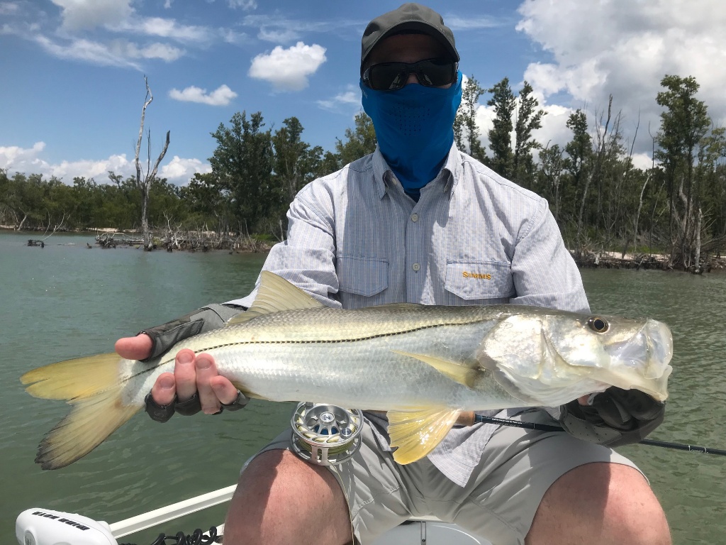 Snook fish caught in FL