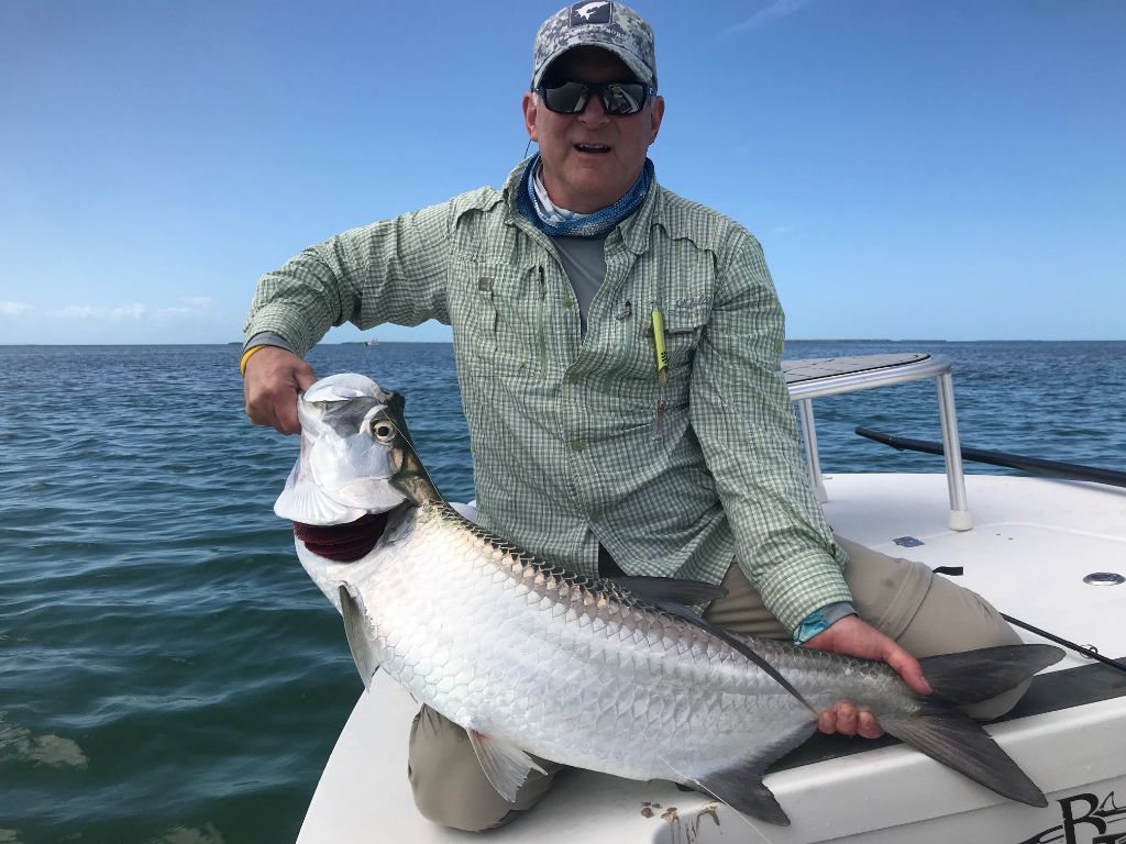 Tarpon fish caught in FL
