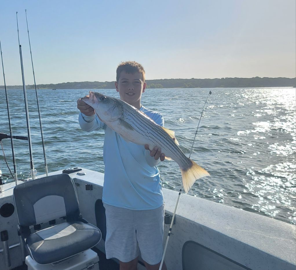 Striped bass caught in Kingston