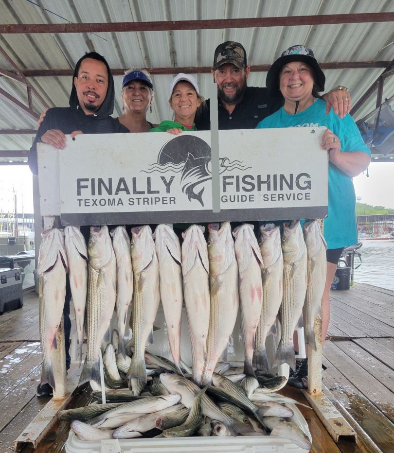Four large striped bass caught while fishing in OK