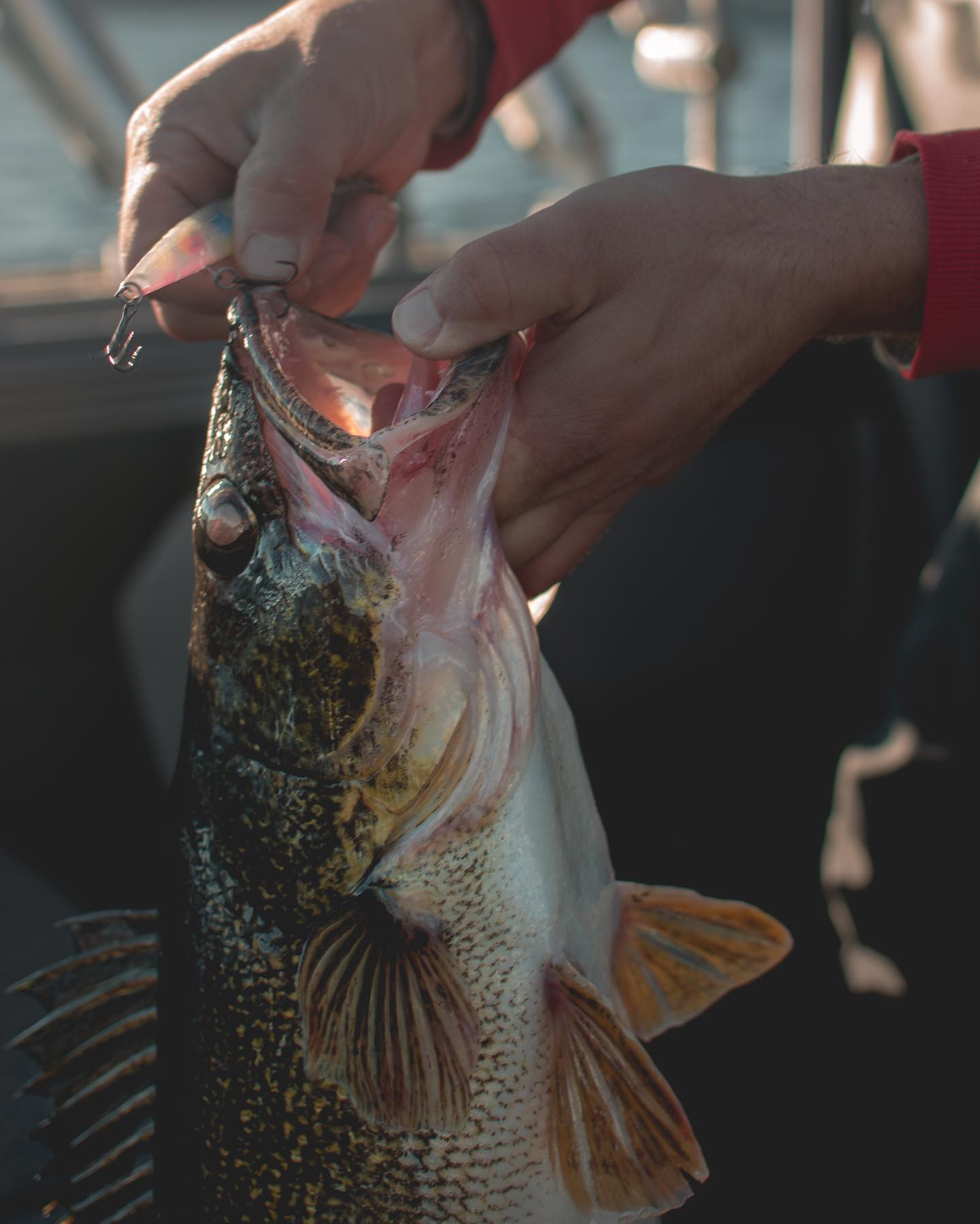 A fishing adventure in ON