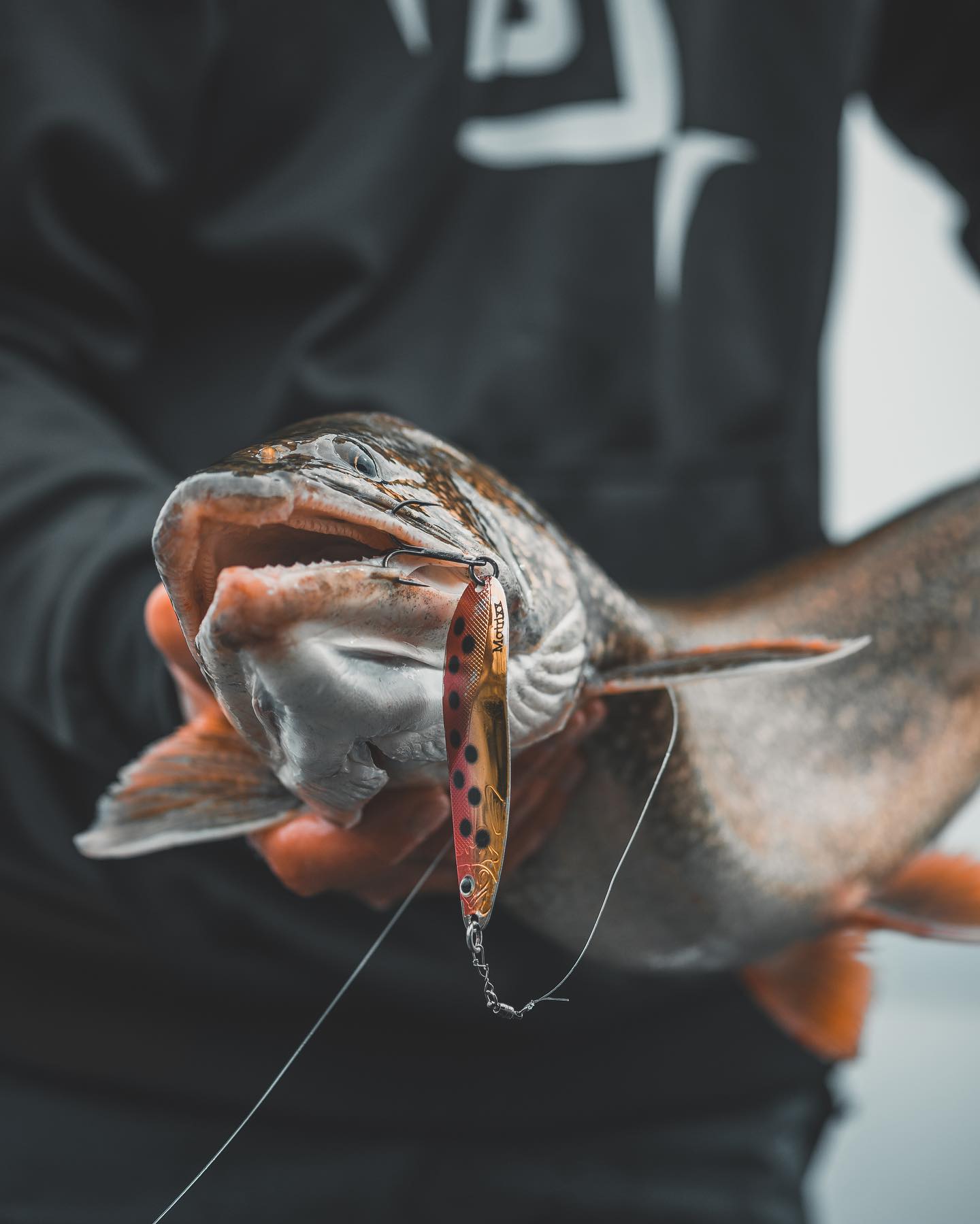 Fishing in Ontario