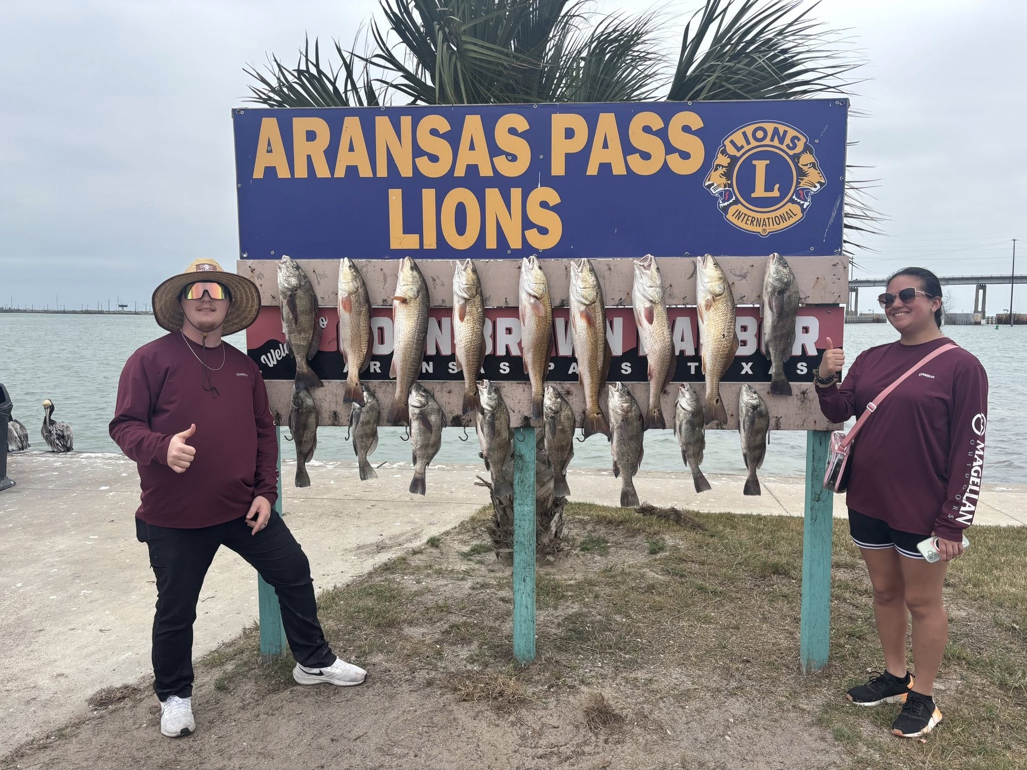 Successful fishing trip displaying black drum and redfish catch on cleaning station in Ingleside TX