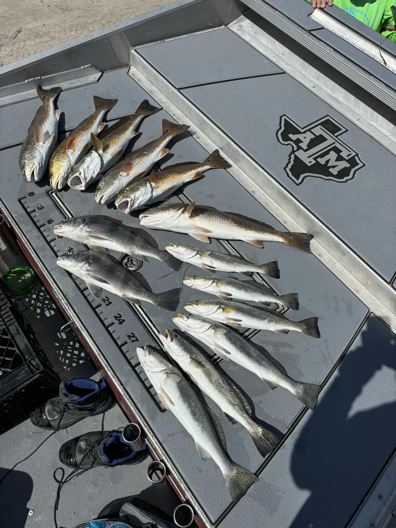 Fresh caught speckled trout, redfish, and black drum displayed on boat cleaning station in Ingleside TX