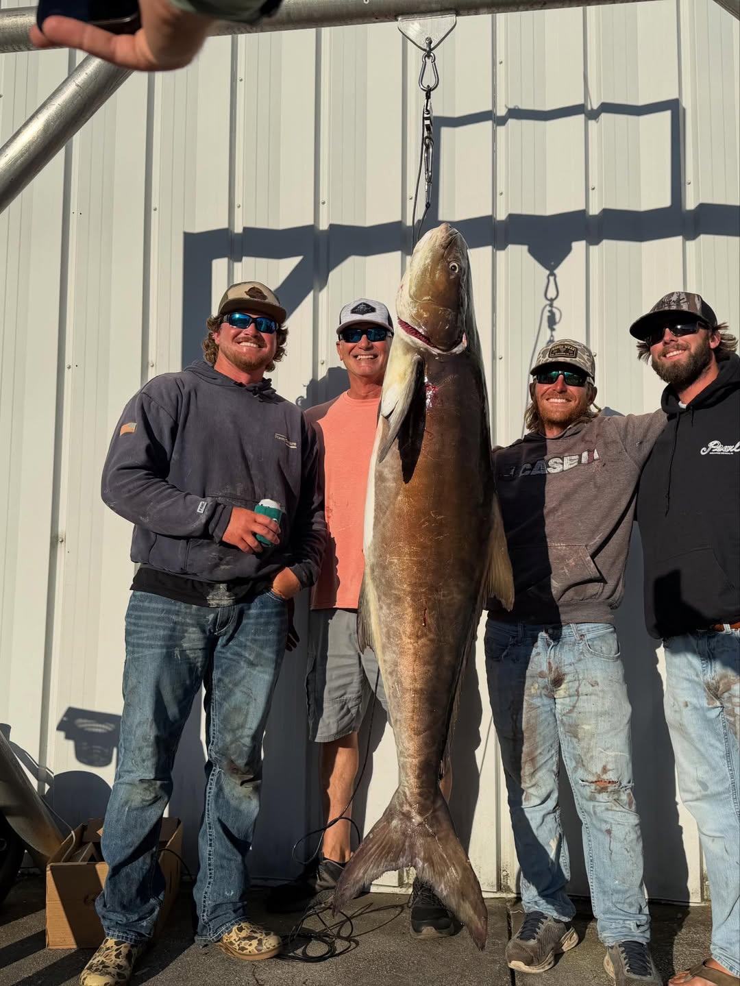 Large cobia fish hanging on weighing scale with four anglers posing at Pensacola Beach FL fishing dock