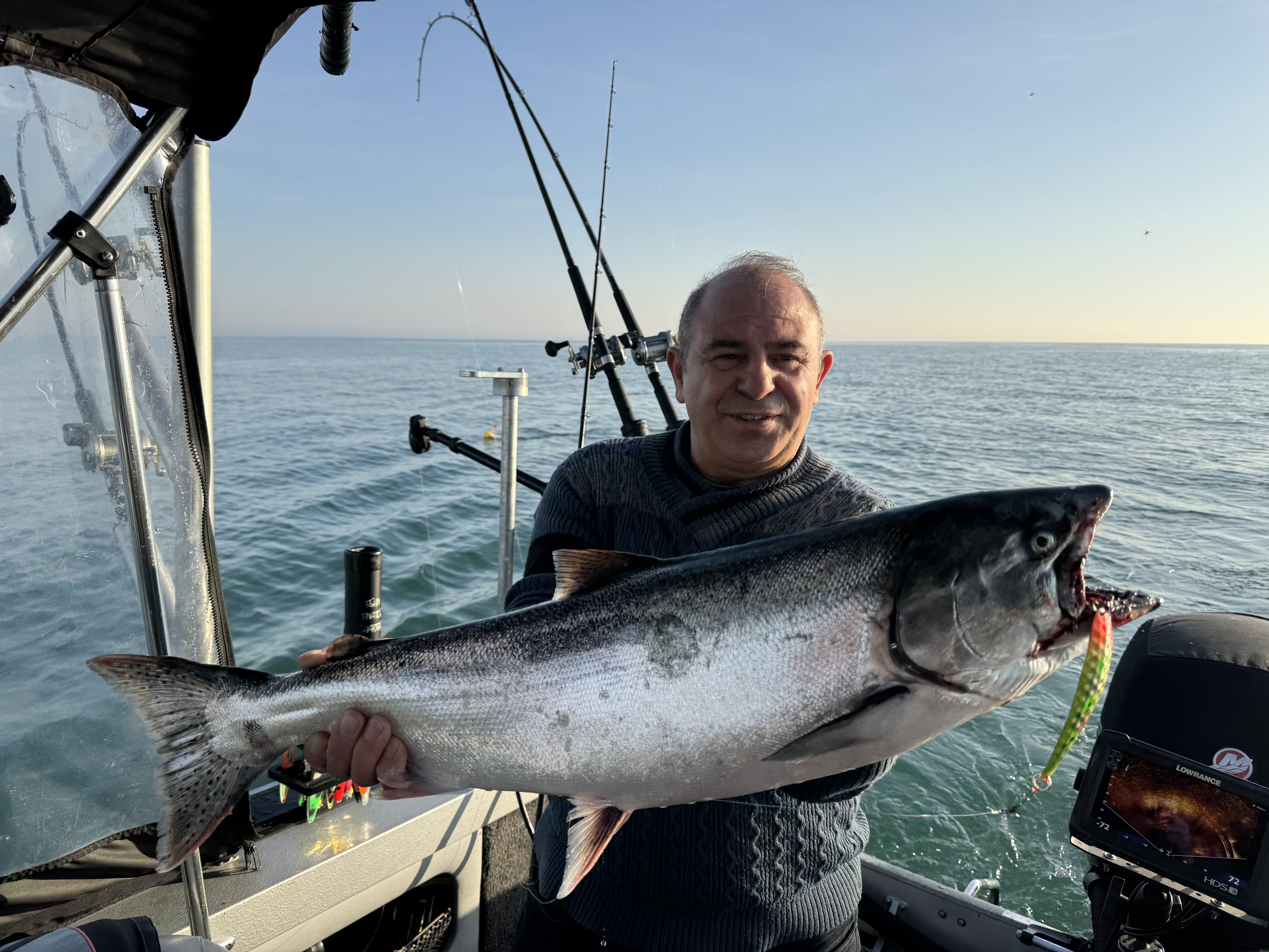 Large Chinook salmon caught on fishing boat in Dunnville ON with fishing rod and lure visible