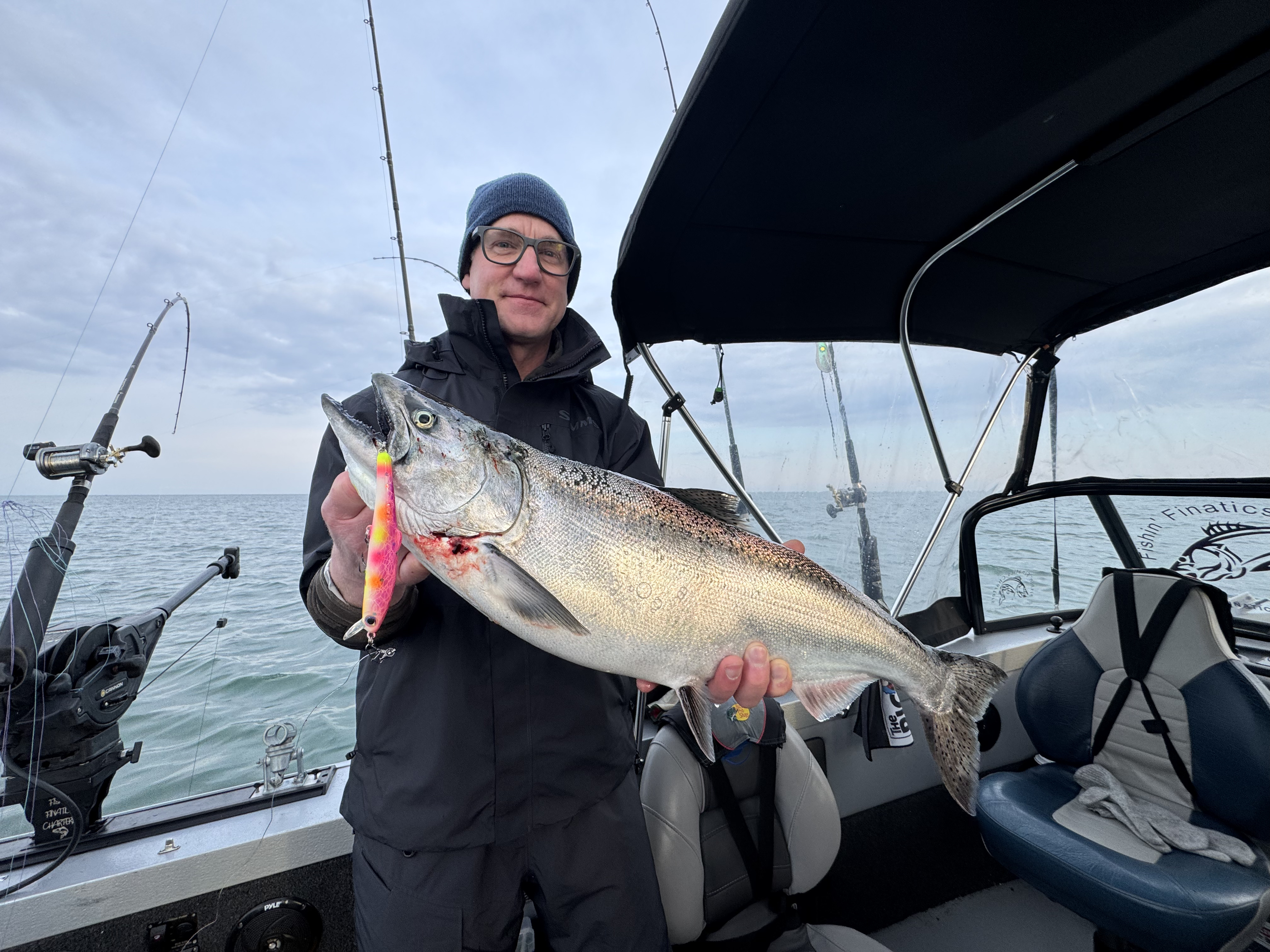 Chinook salmon caught fishing in Dunnville ON displayed on boat deck