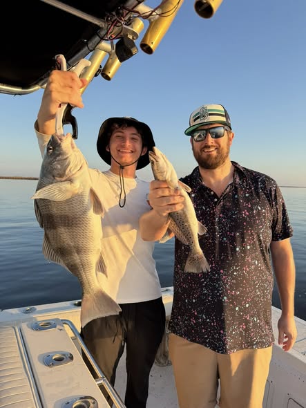 Black drum and speckled trout catch displayed on fishing boat in St Bernard LA