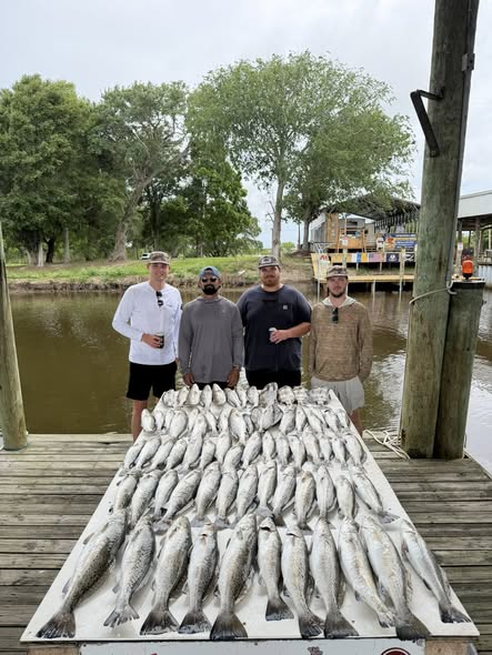 Large fishing catch displayed on wooden dock in St Bernard Louisiana with multiple fish species laid out in organized rows