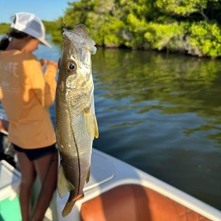 Angler fishing in Sarasota, Florida