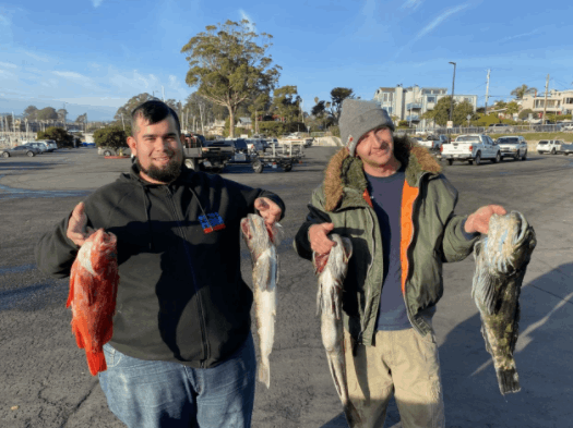 4 fish caught in Santa Cruz