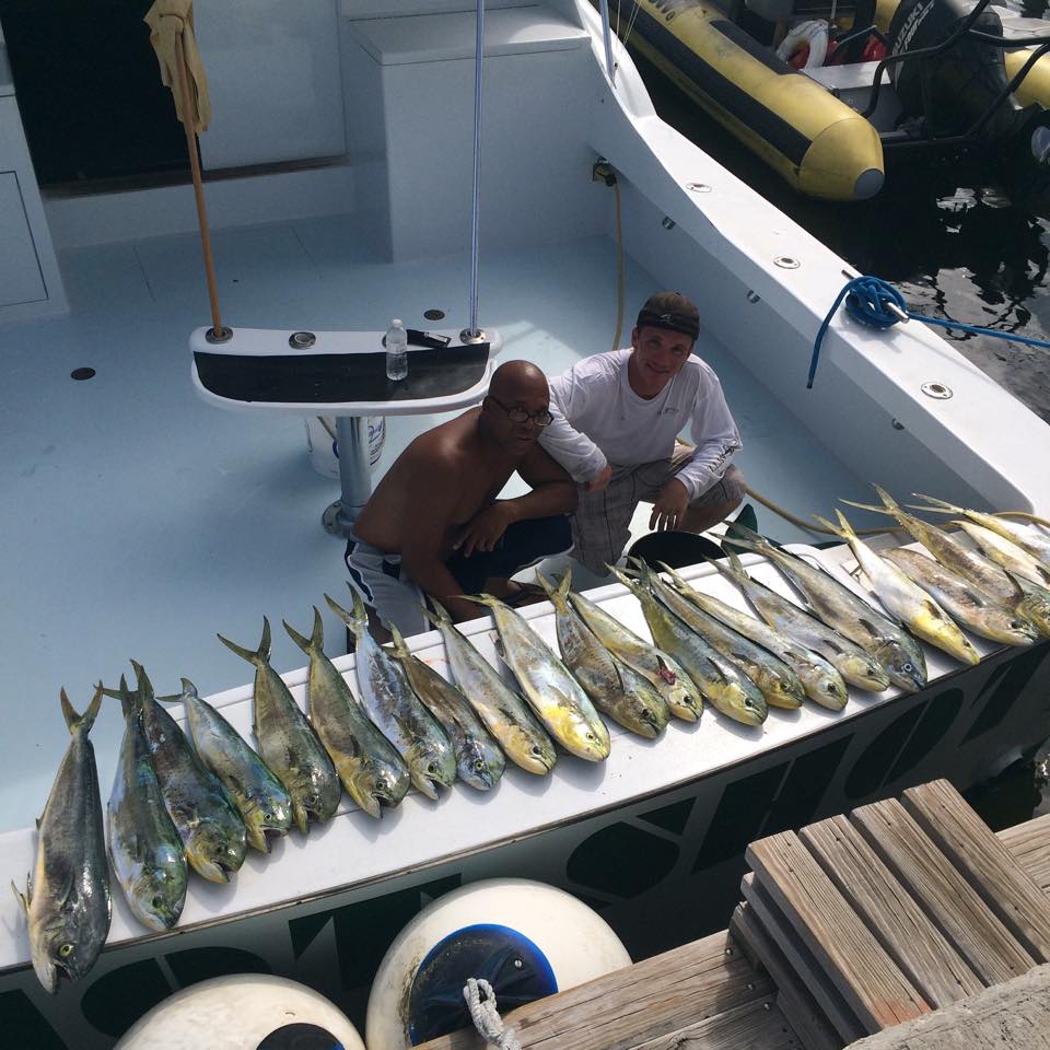 Four big fish caught while fishing in Miami
