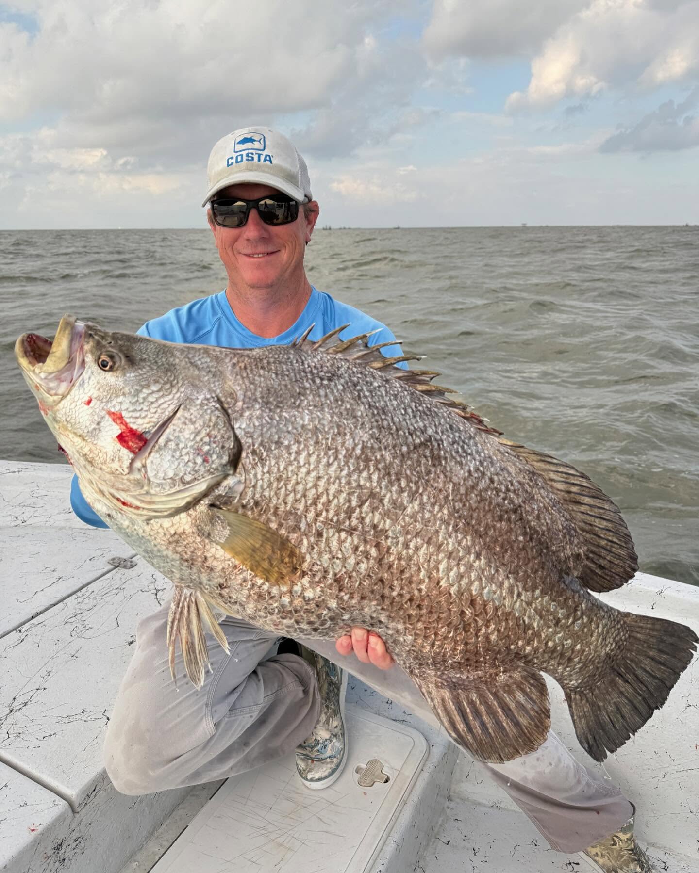 Tripletail fish caught while fishing in Venice