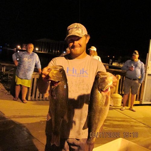 2 big fish caught while fishing in MO