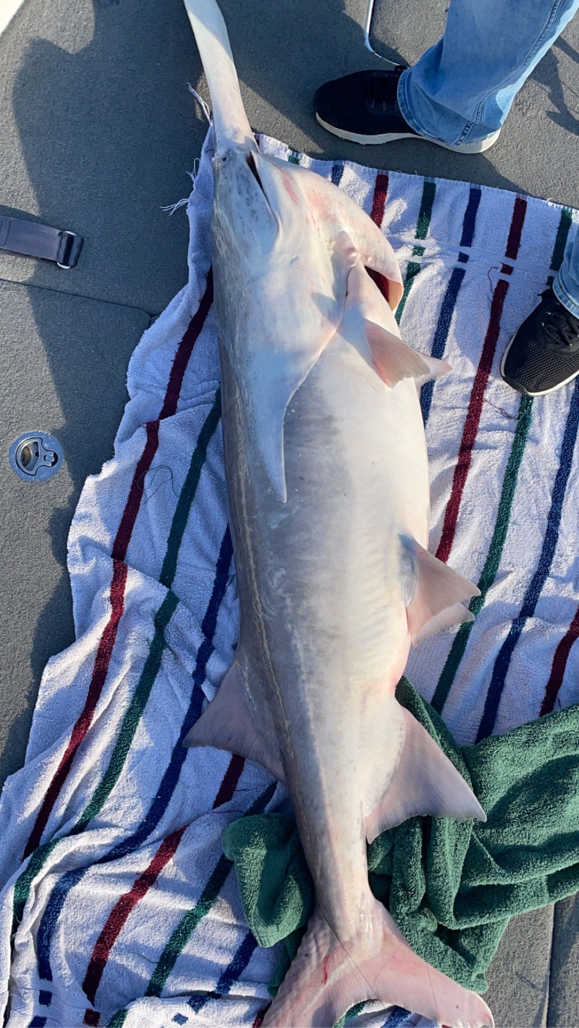 Fishing in MO