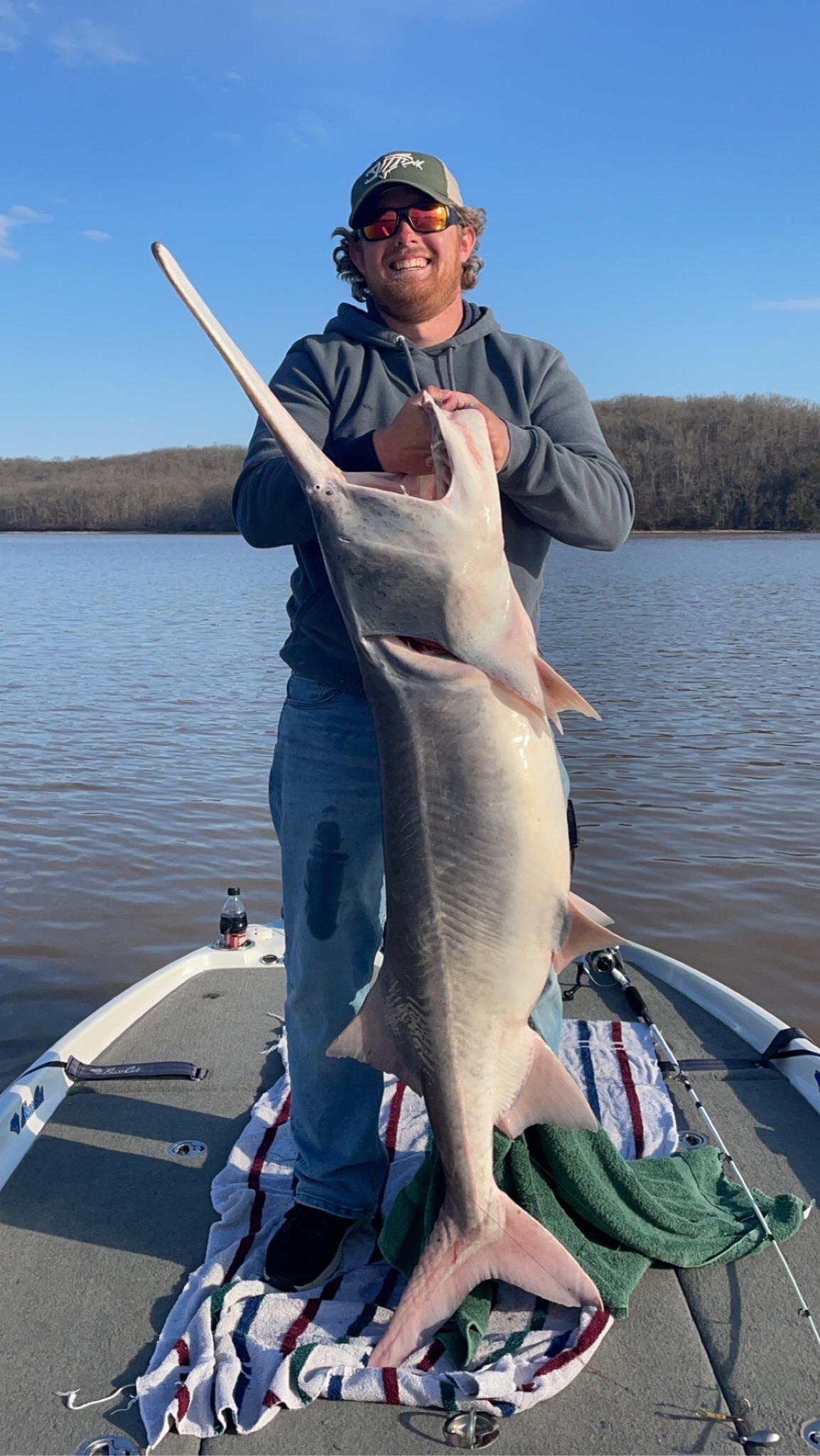 Tawny nurse shark caught fishing in Osage Beach
