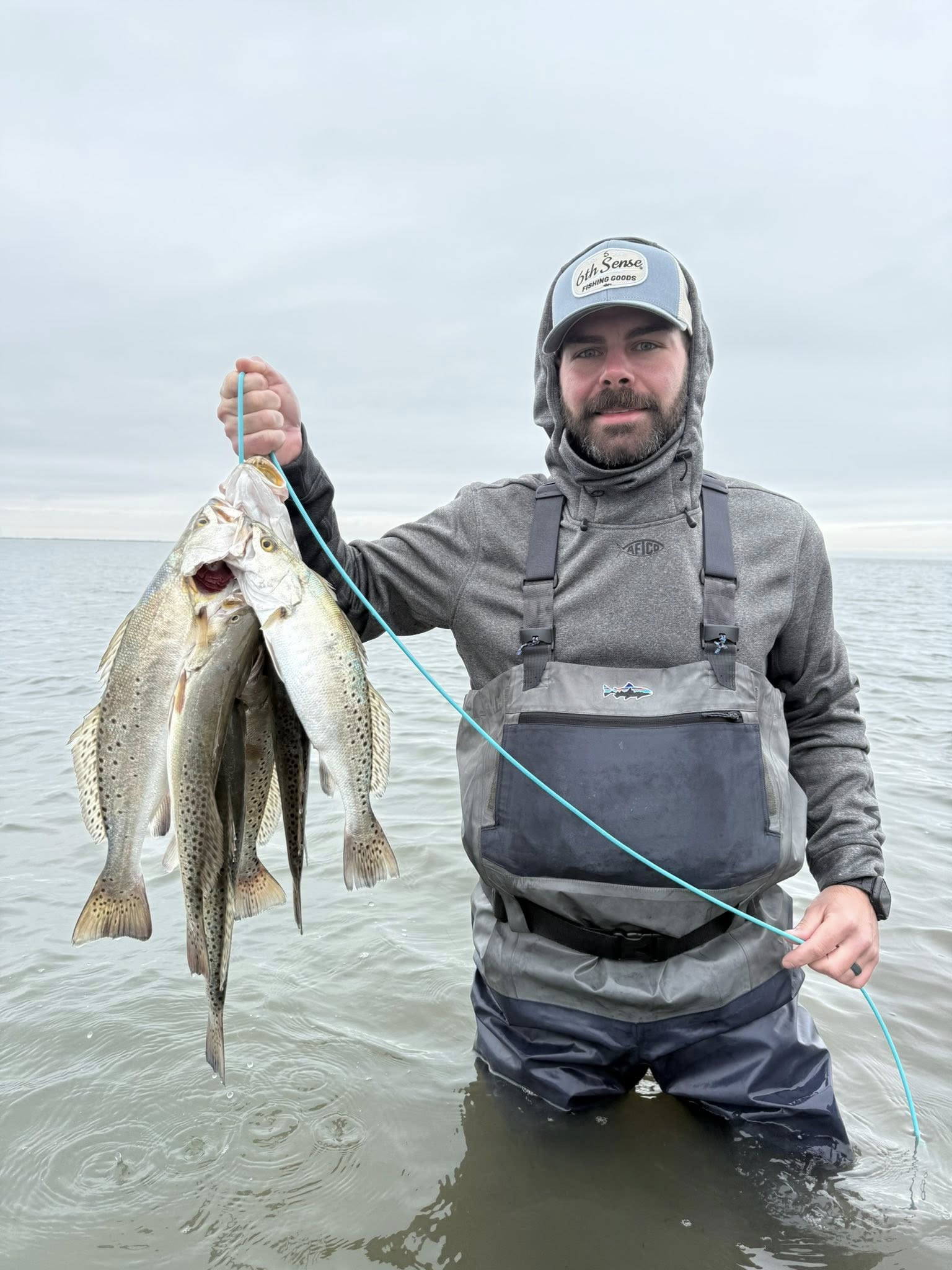 Angler holding multiple speckled trout on stringer while wade fishing in Riviera Texas coastal waters