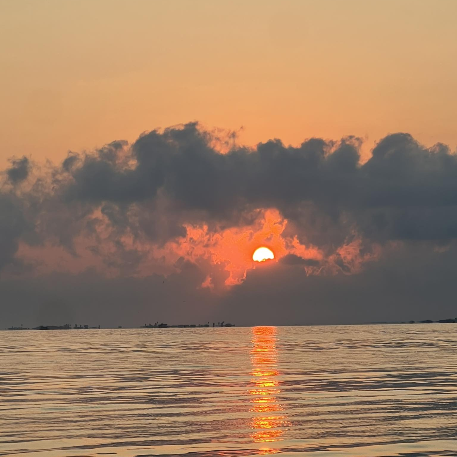 Baffin Bay Texas scenic boat tour with wildlife viewing and mangrove channels in South Texas