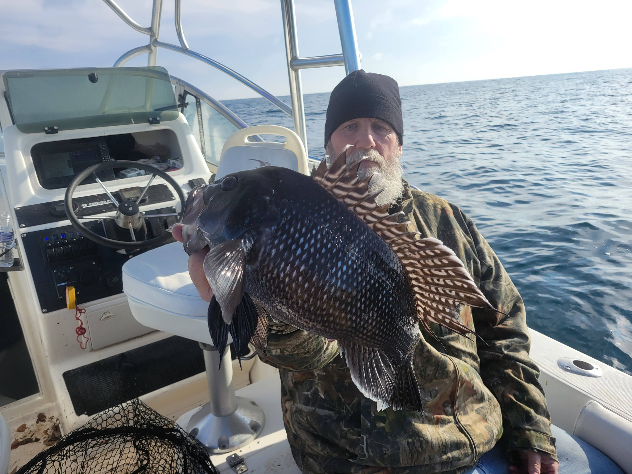 Black sea bass caught while fishing in Norfolk VA waters