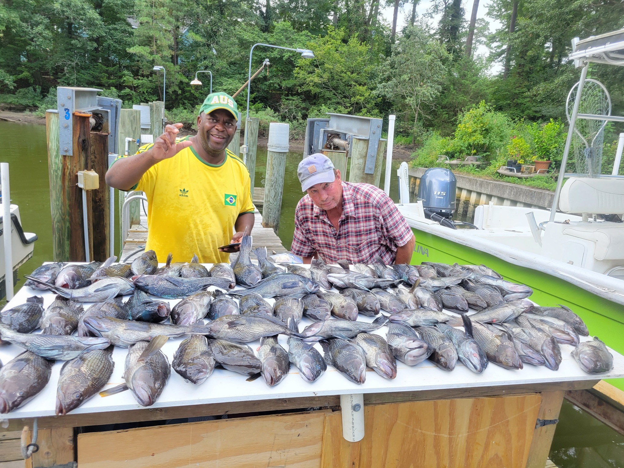 Large catch of fresh fish displayed on cleaning table at Norfolk VA marina dock