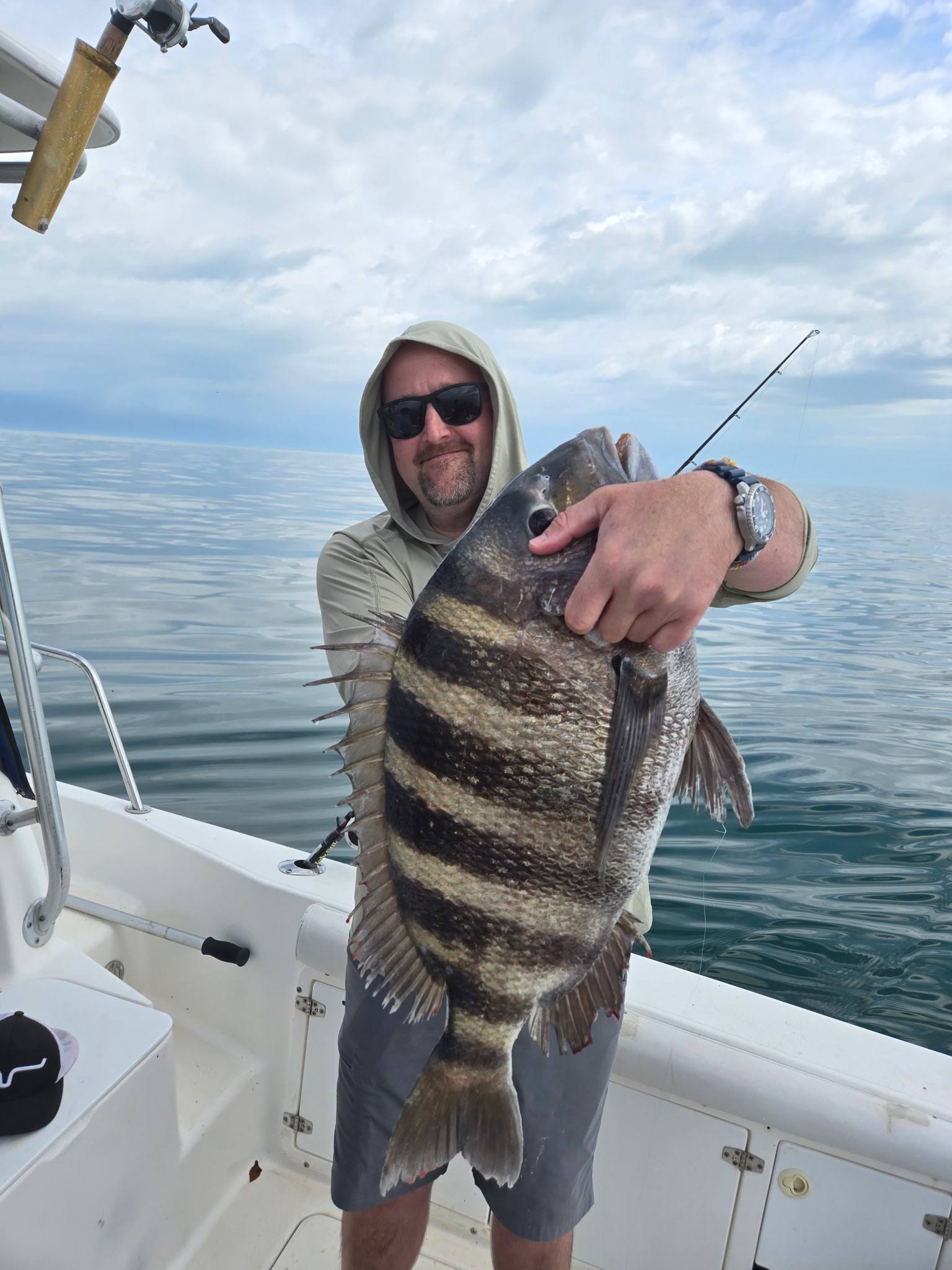 Large sheepshead fish caught while fishing in Norfolk VA waters