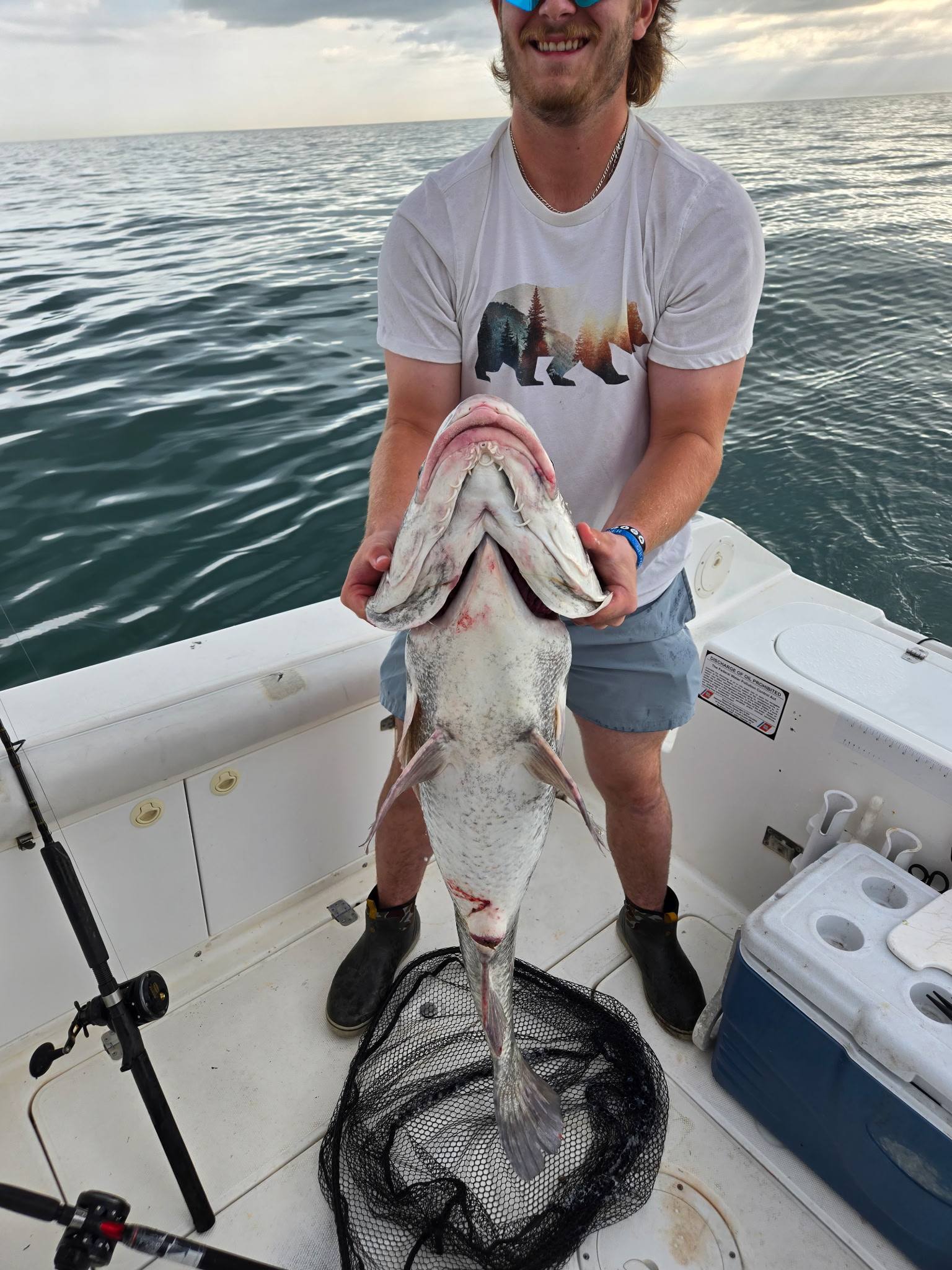 Large fish with open mouth being displayed on fishing boat in Norfolk VA waters