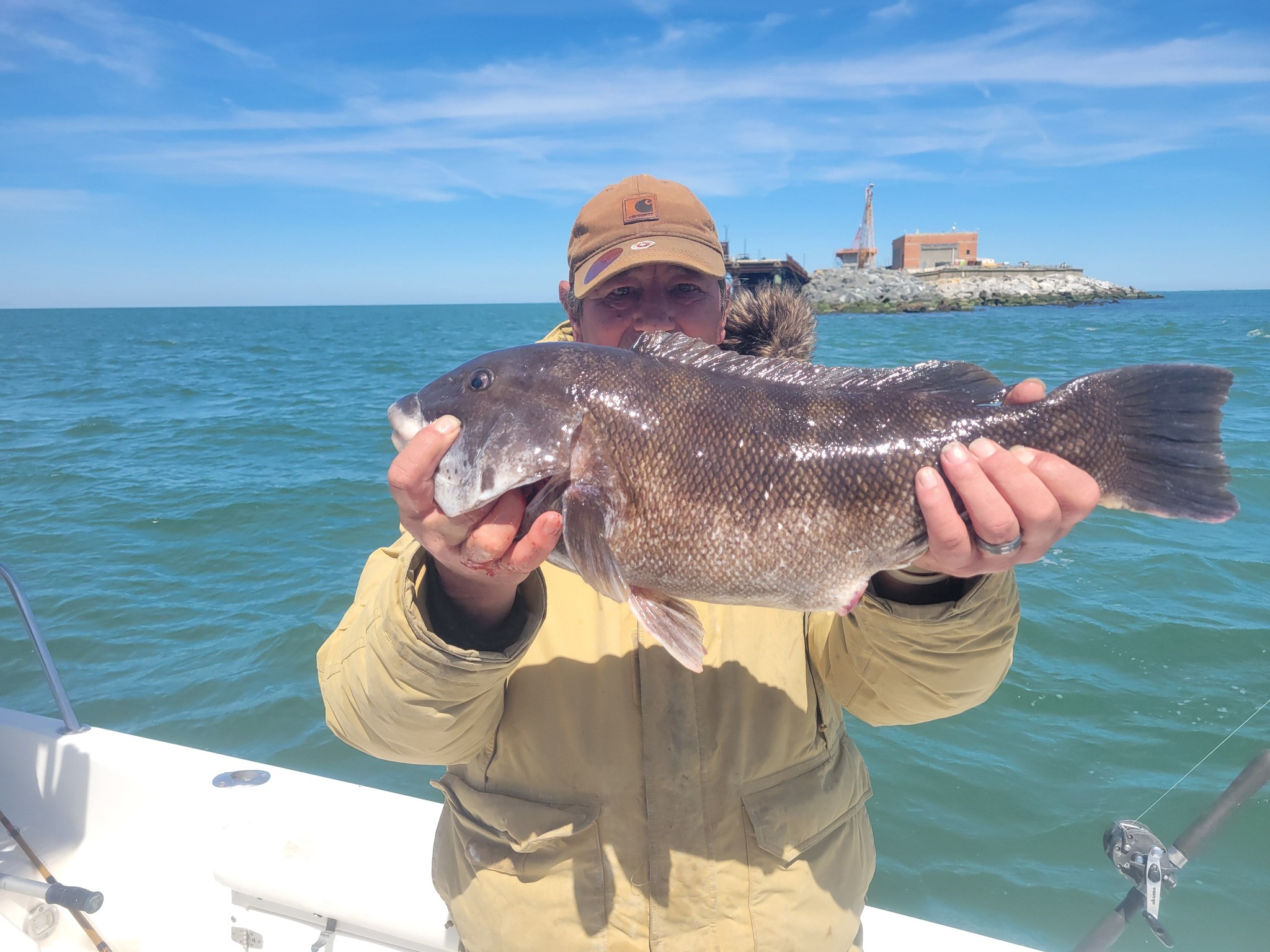 Tautog catch displayed on fishing boat in Norfolk VA waters