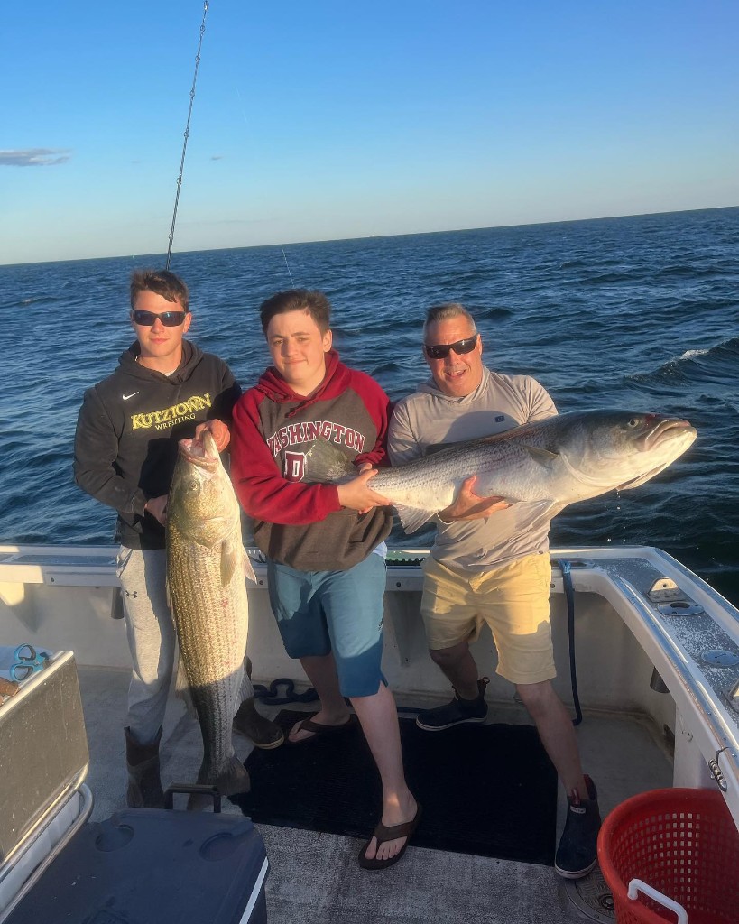 Two striped bass, 32 inches long, caught in NJ