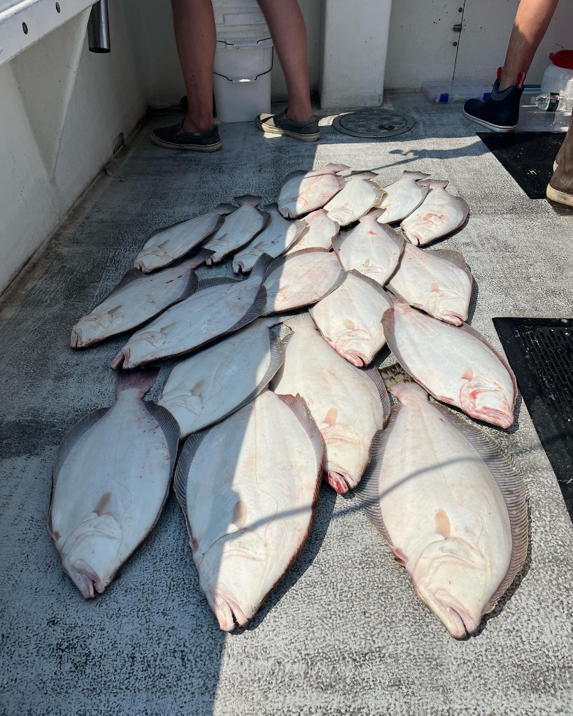 Three fish caught in NJ
