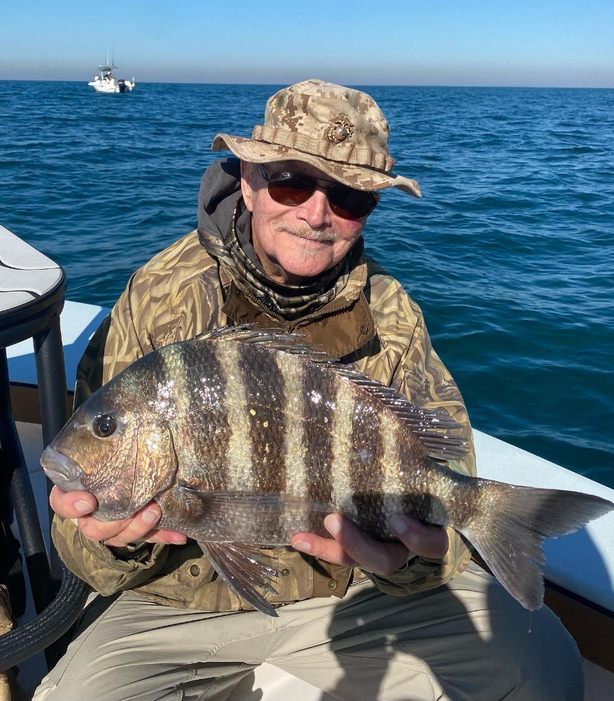 Sheepshead fish caught in Okatie